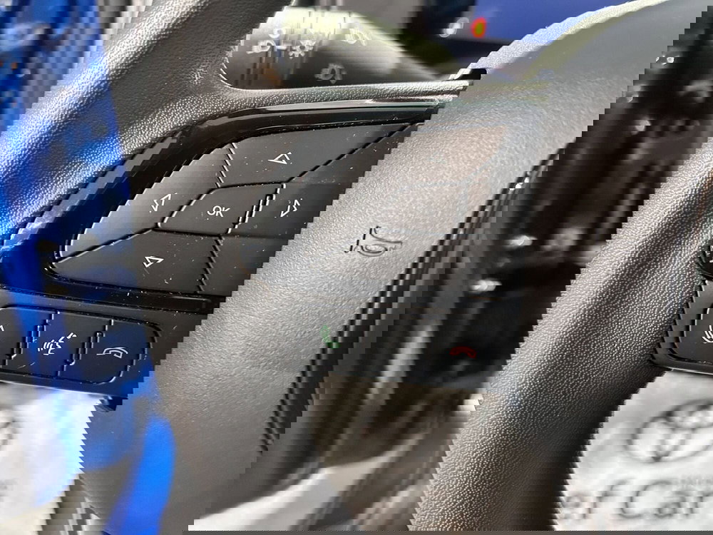 Fiat Panda Cross usata a Milano (16)