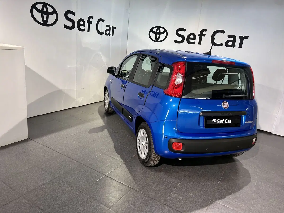 Fiat Panda Cross usata a Milano (5)