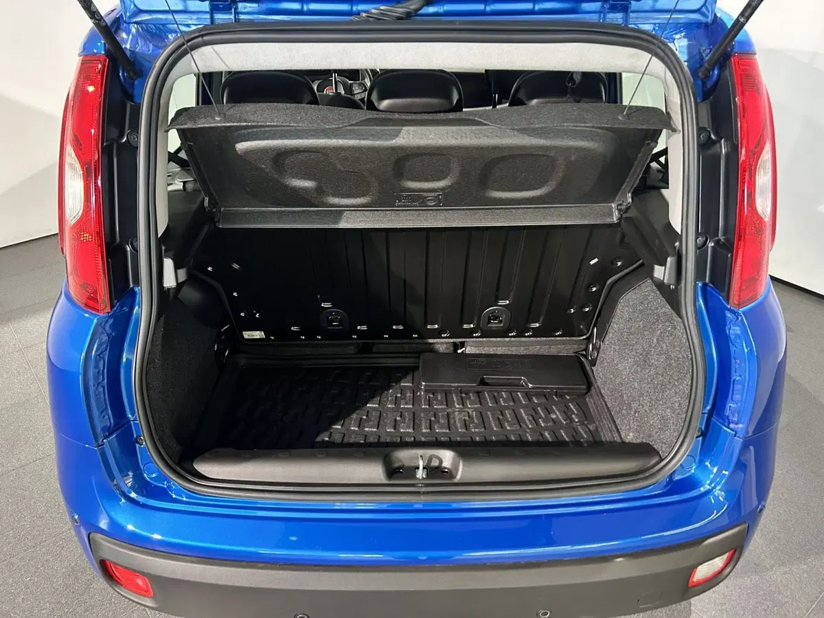 Fiat Panda Cross usata a Milano (7)
