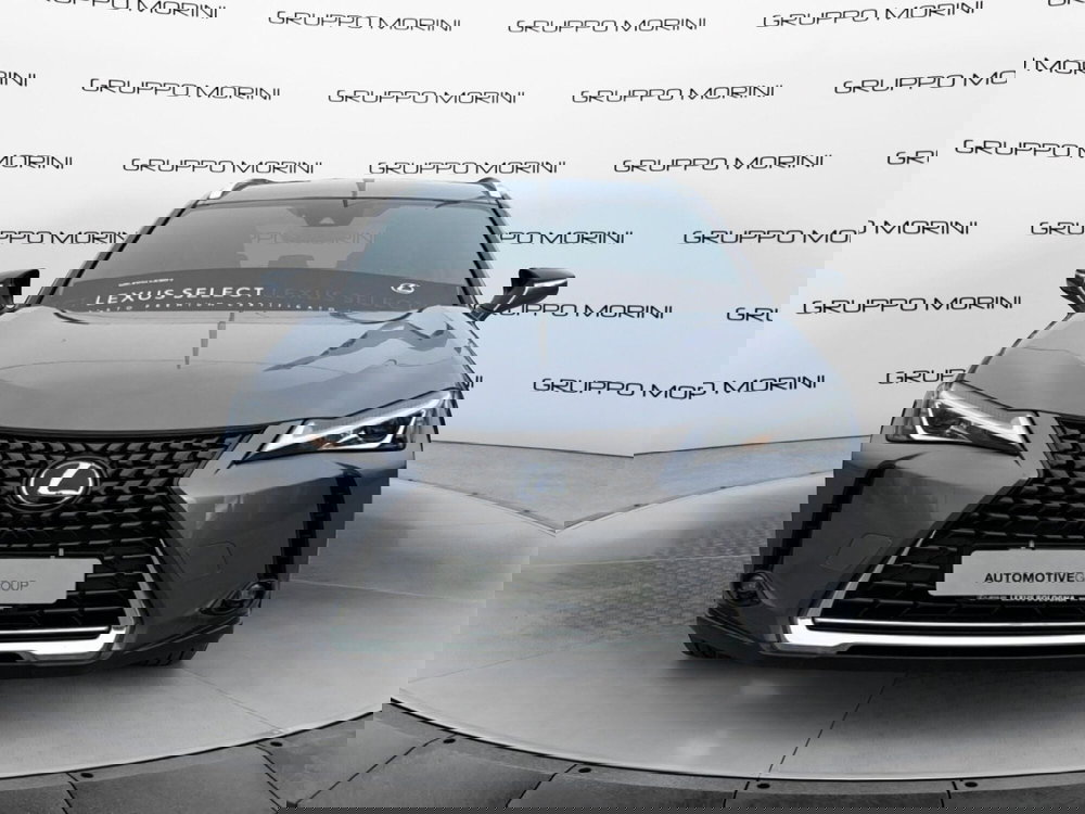 Lexus UX usata a Bologna