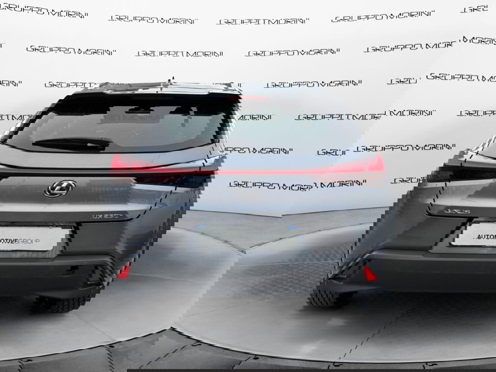 Lexus UX usata a Bologna (4)