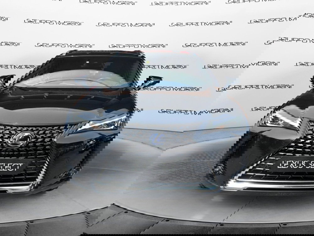 Lexus UX usata a Bologna
