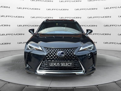 Lexus UX Hybrid 4WD Executive del 2022 usata a San Lazzaro di Savena
