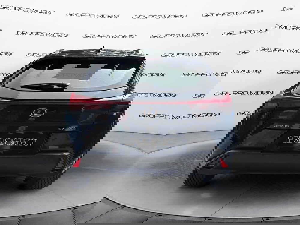 Lexus UX usata a Bologna (4)