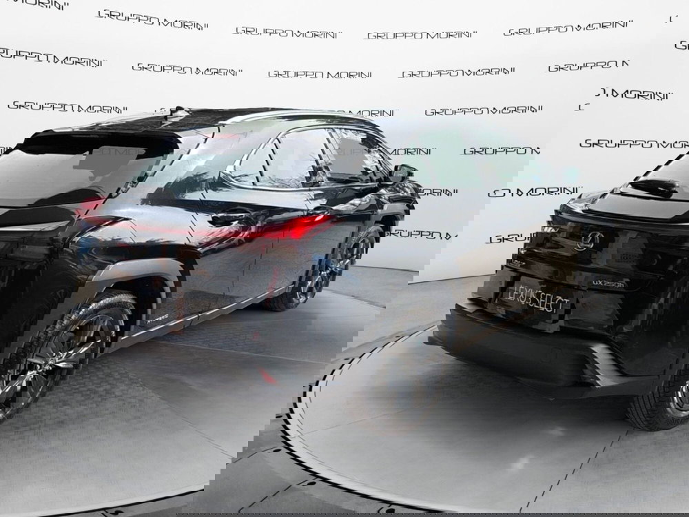 Lexus UX usata a Bologna (6)