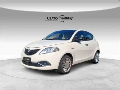 Lancia Ypsilon 1.2 69 CV 5 porte GPL Ecochic Gold del 2017 usata a Siena