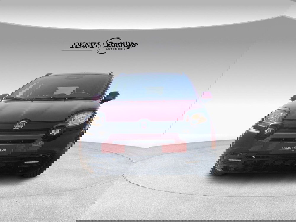 Fiat Pandina usata a Firenze (2)