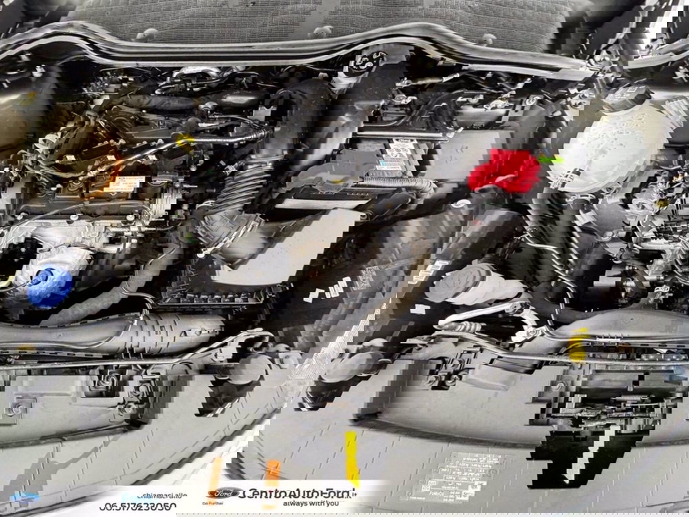 Ford Fiesta usata a Roma (12)