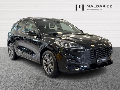 Ford Kuga 2.0 EcoBlue 120 CV aut. 2WD ST-Line X del 2023 usata a Foggia