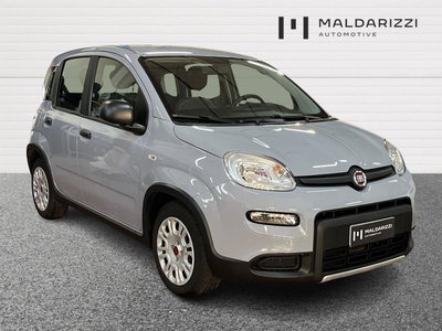 Fiat Panda 1.0 firefly hybrid s&amp;s 70cv 5p.ti del 2023 usata a Bari