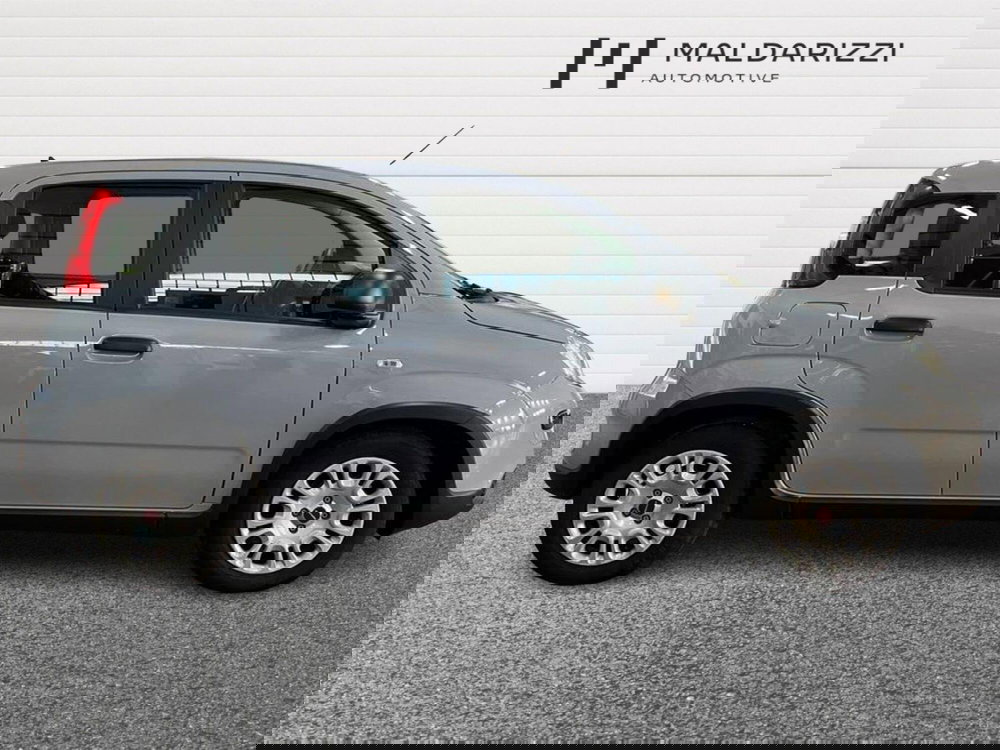 Fiat Panda usata a Bari (5)