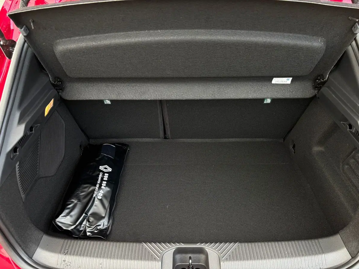 Renault Clio nuova a Vercelli (15)