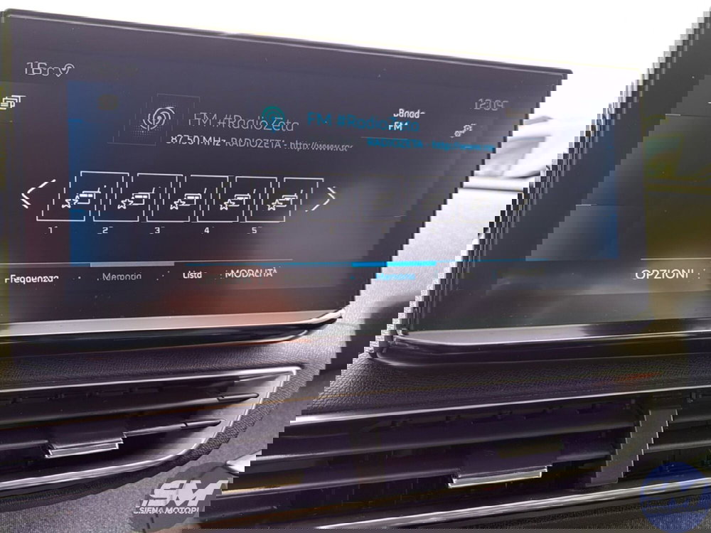 Peugeot 3008 usata a Firenze (14)