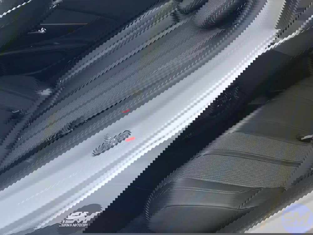 Peugeot 3008 usata a Firenze (20)