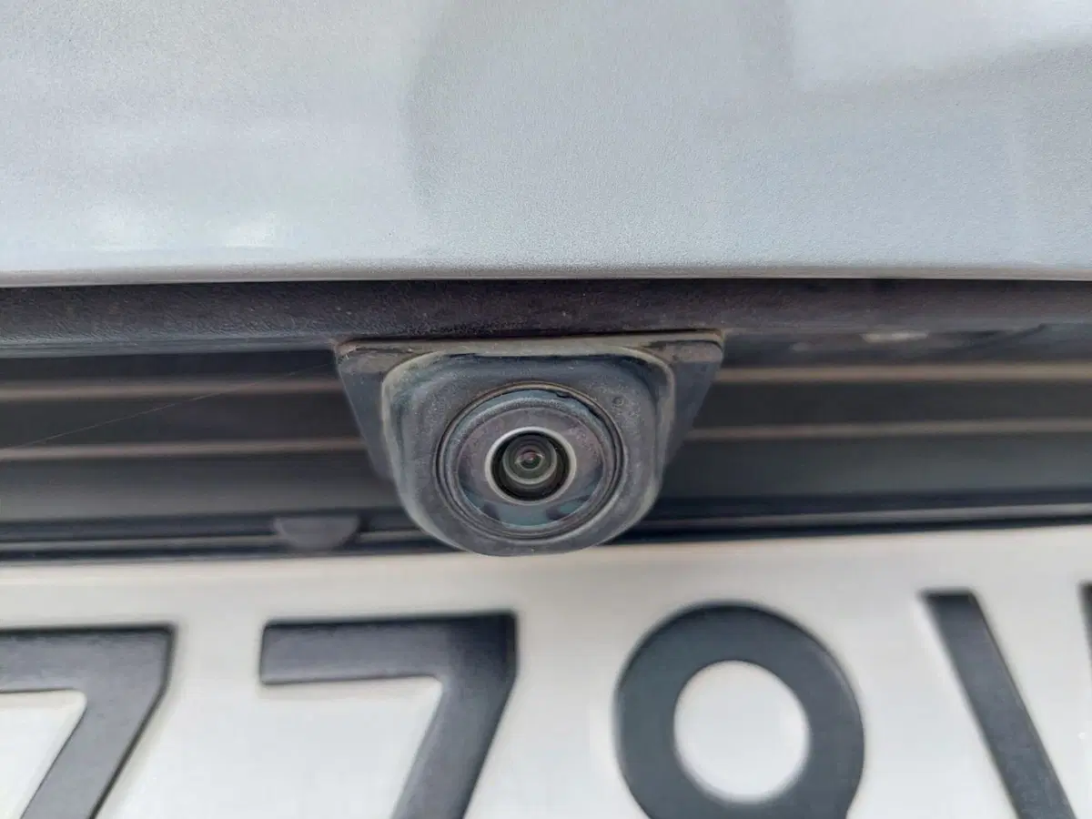 Ford Puma usata a Treviso (17)