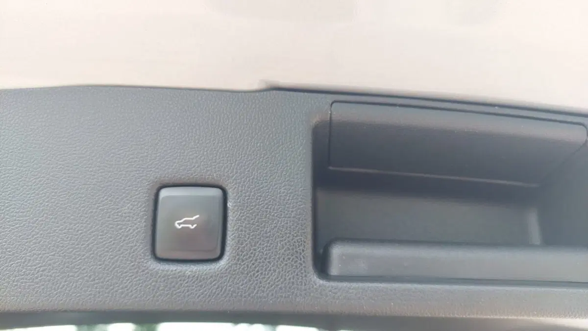 Ford Kuga usata a Treviso (15)