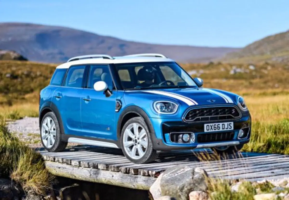 MINI Mini Countryman usata a Caserta (11)