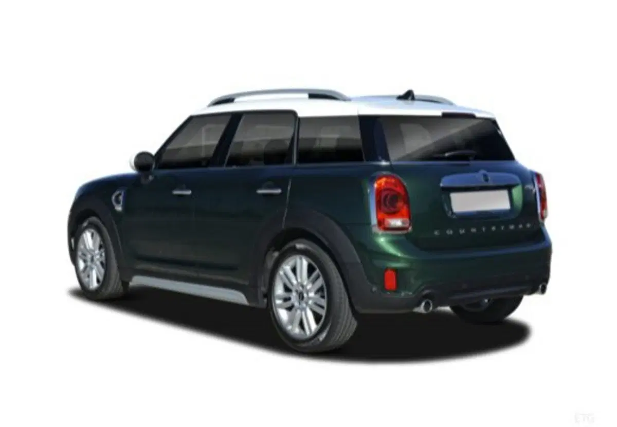 MINI Mini Countryman usata a Caserta (14)