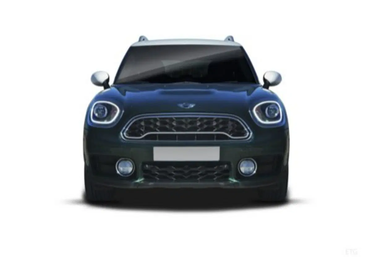 MINI Mini Countryman usata a Caserta (16)