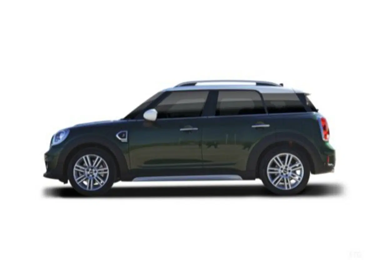 MINI Mini Countryman usata a Caserta (20)