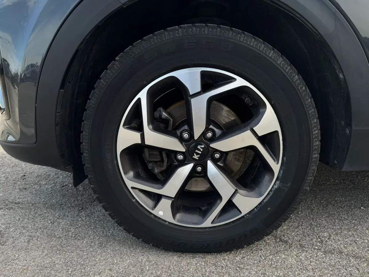 Kia Sportage usata a Firenze (5)