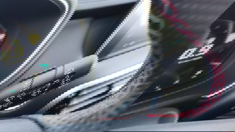 Mg HS usata a Firenze (19)