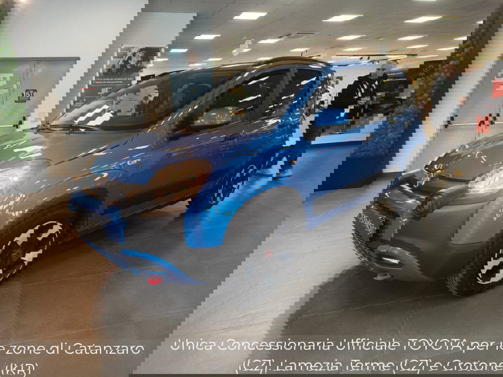 Fiat Panda Cross usata a Catanzaro