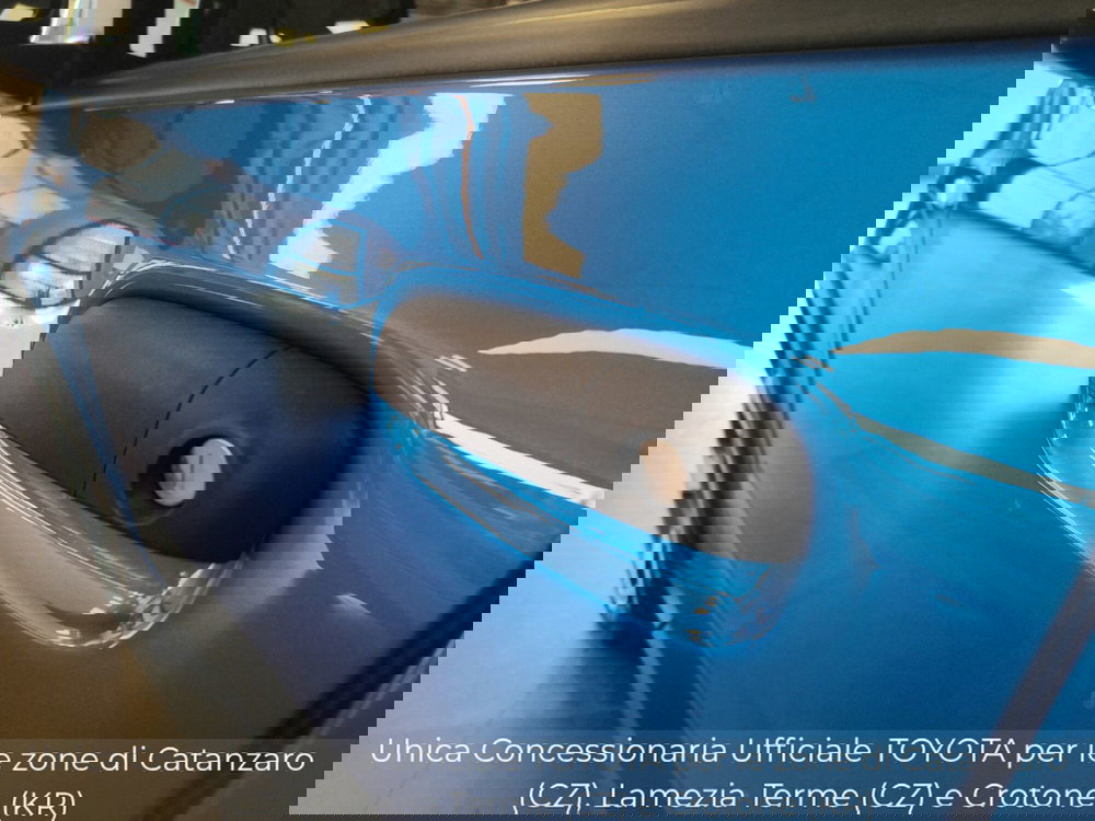 Fiat Panda Cross usata a Catanzaro (11)