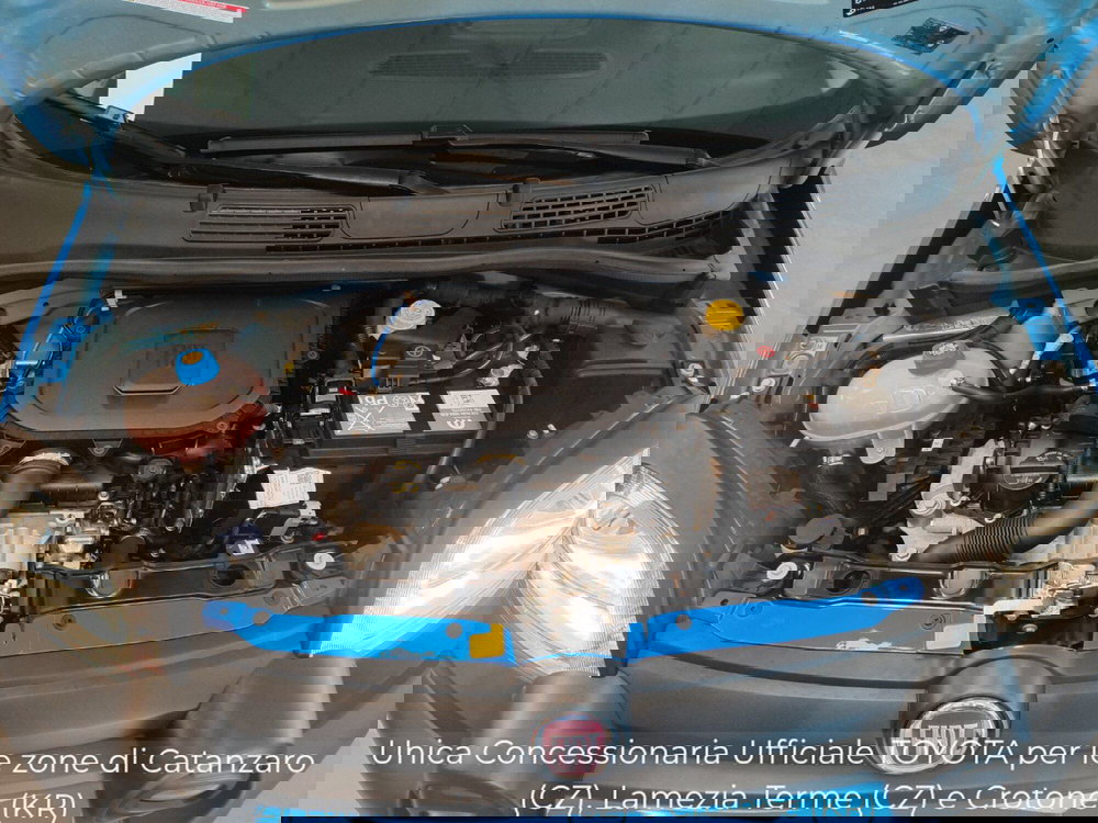 Fiat Panda Cross usata a Catanzaro (13)