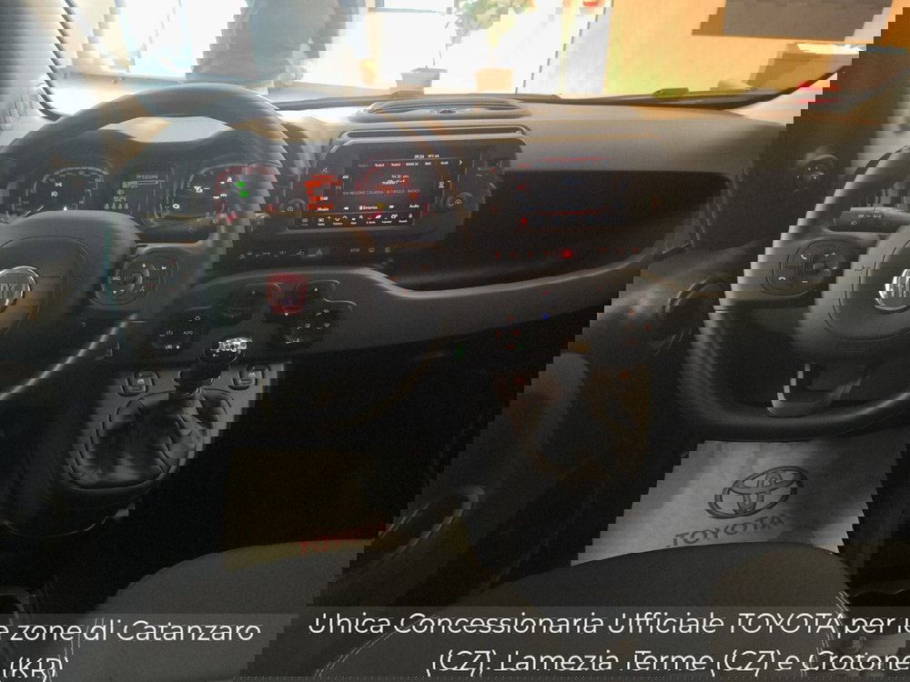 Fiat Panda Cross usata a Catanzaro (18)