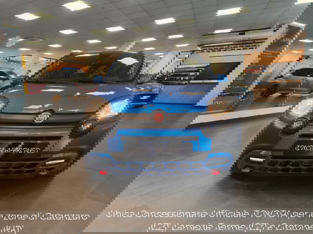 Fiat Panda Cross usata a Catanzaro (5)