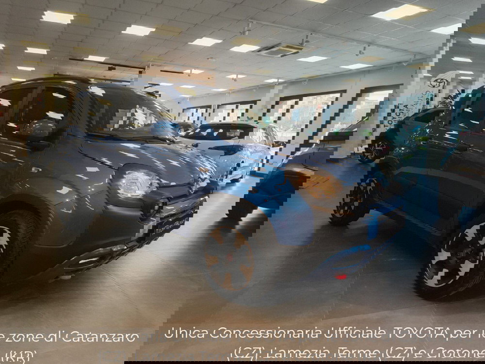 Fiat Panda Cross usata a Catanzaro (8)