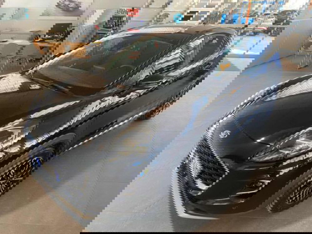 Ford Puma usata a Bologna