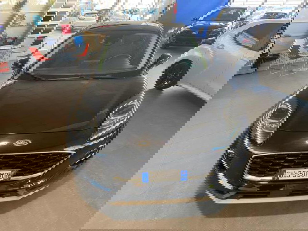 Ford Puma usata a Bologna (3)