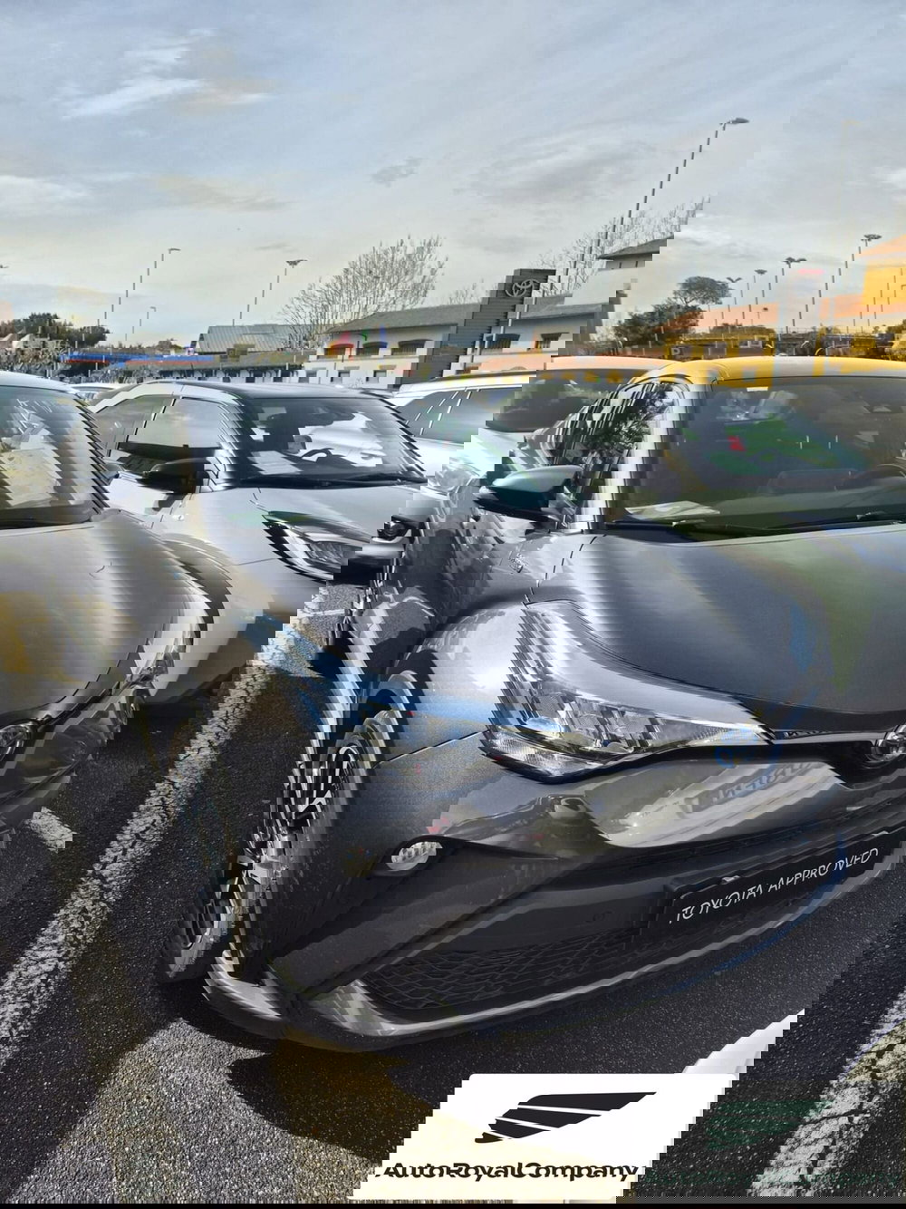 Toyota Toyota C-HR usata a Roma