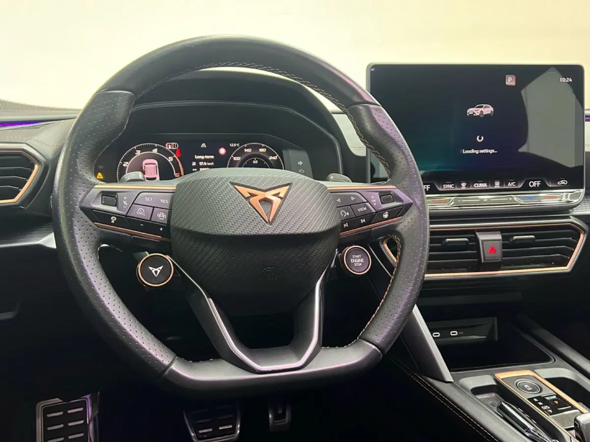 Cupra Formentor usata a Roma (12)