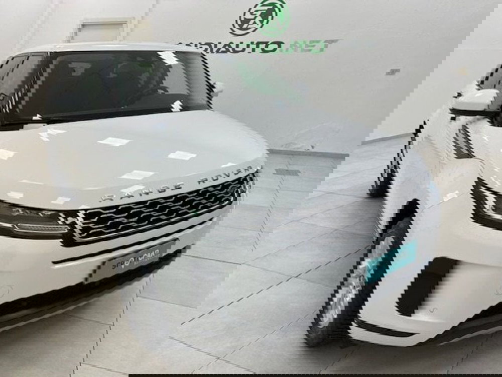 Land Rover Range Rover Evoque usata a Imperia (5)