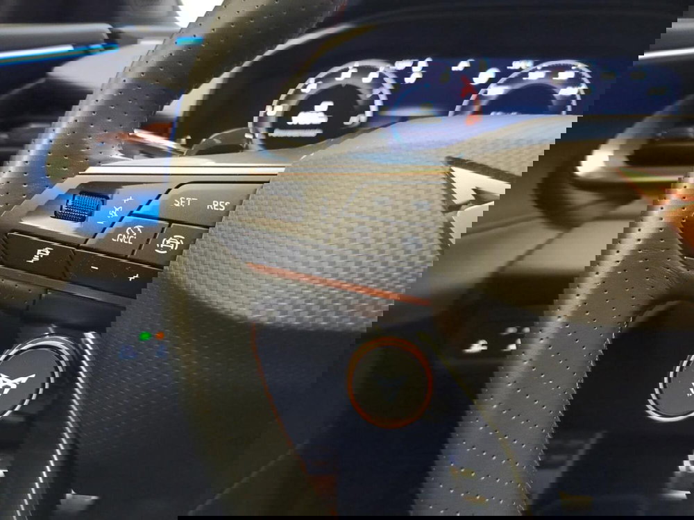 Cupra Terramar usata a Varese (18)