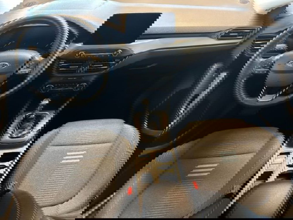 Ford Focus usata a Cuneo (10)