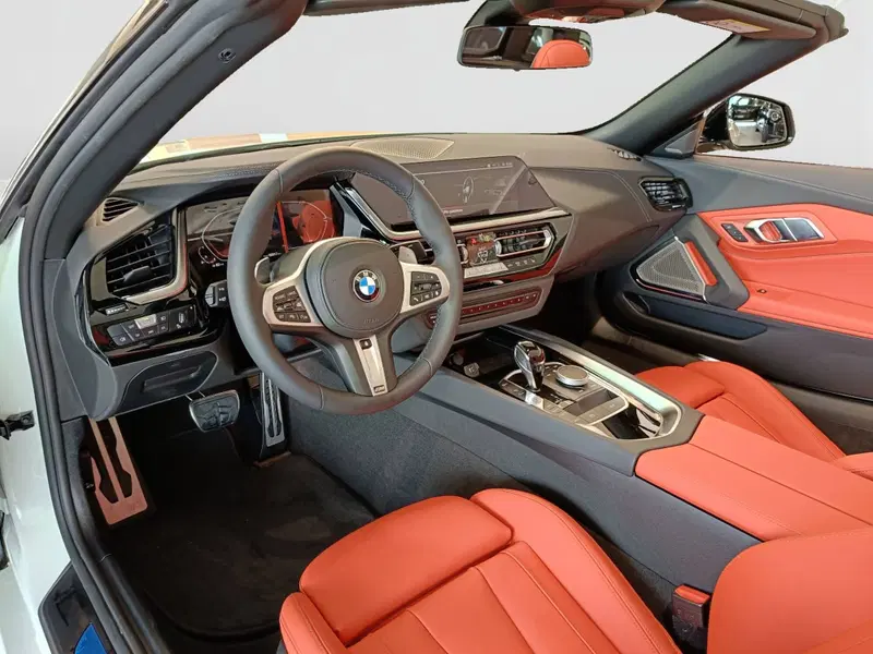BMW Z4 Cabrio nuova a Ascoli Piceno (7)