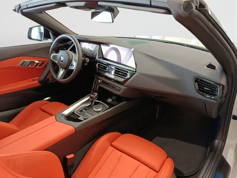 BMW Z4 Cabrio nuova a Ascoli Piceno (9)