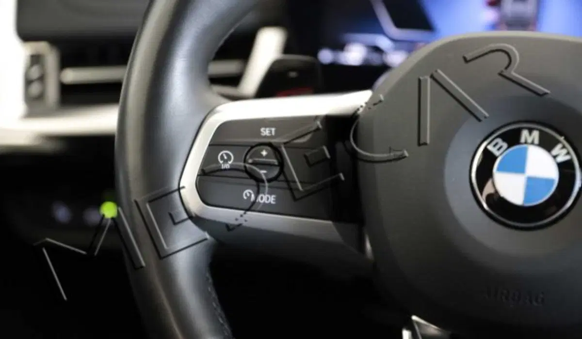 BMW X1 usata a Potenza (12)