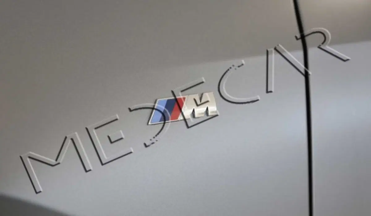 BMW X1 usata a Potenza (19)