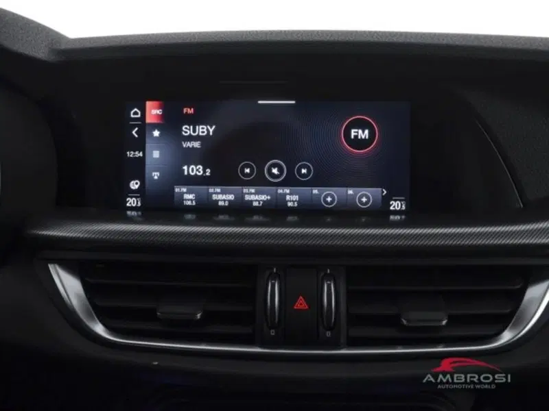 Alfa Romeo Stelvio usata a Perugia (14)