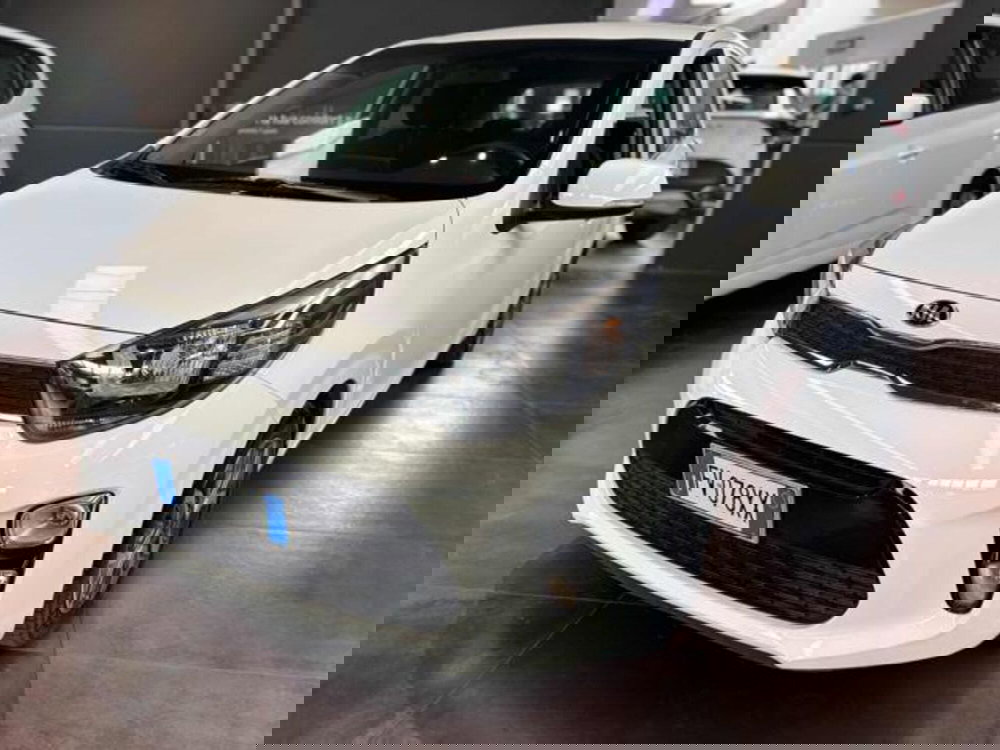 Kia Picanto usata a Pesaro-Urbino (2)