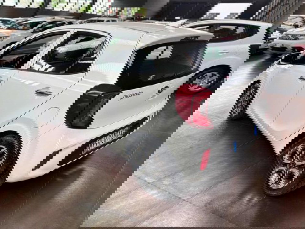 Kia Picanto usata a Pesaro-Urbino (4)