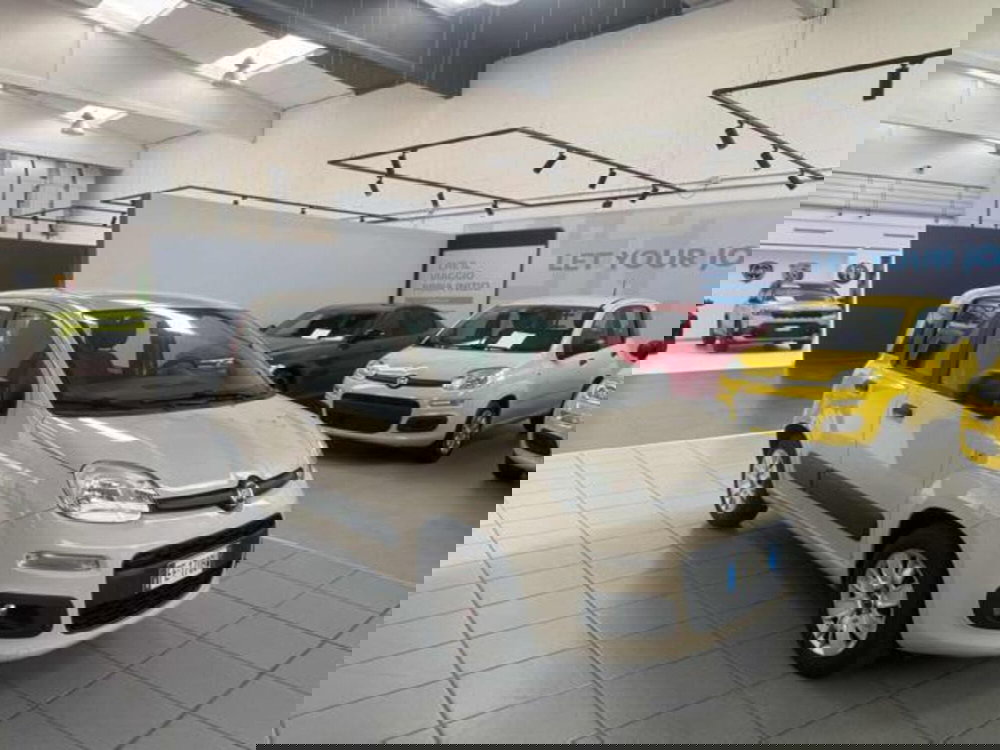 Fiat Panda usata a Vercelli