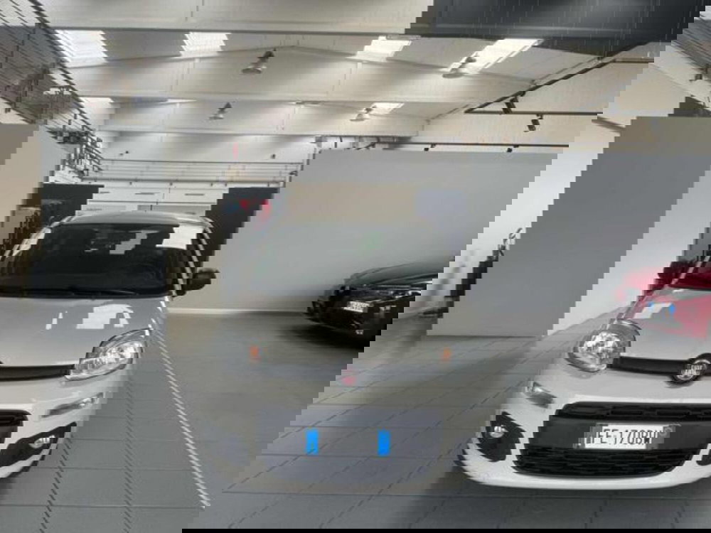 Fiat Panda usata a Vercelli (2)