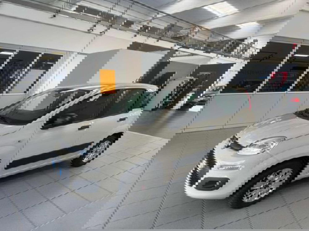 Fiat Panda usata a Vercelli (3)