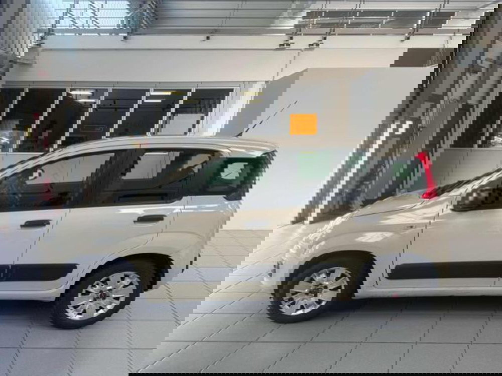 Fiat Panda usata a Vercelli (4)